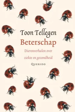Beterschap
