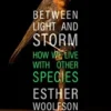 Between Light and Storm