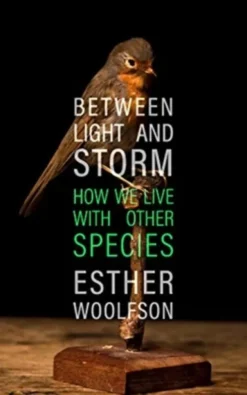 Between Light and Storm