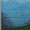 Beyond the NextVillage