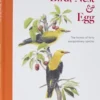 Bird, Nest & Egg
