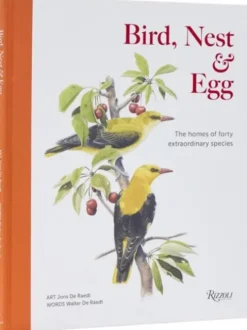 Bird, Nest & Egg