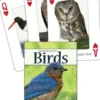Birds of the Northeast Playing Cards