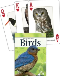 Birds of the Northeast Playing Cards