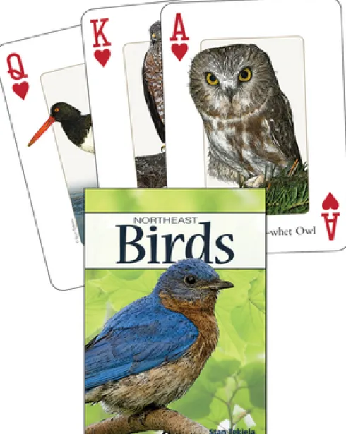 Birds of the Northeast Playing Cards
