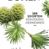 Bomen