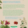 Botanisch Handboek Medicinale Planten
