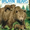 Brown Bears