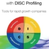Building a High Performance Team with DISC Profiling: Tools for rapid growth companies