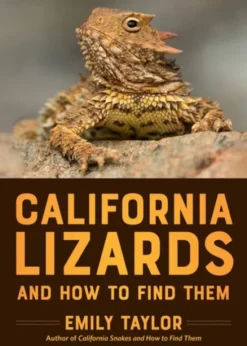 California Lizards and How to Find Them