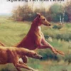 Canine Form Follows Function