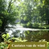 Cantates van de wind