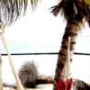 Caribbean Cruising