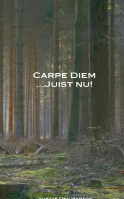 Carpe Diem juist nu!