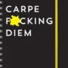 2025 Carpe F*cking Diem Planner