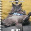 Cat-Astrophe 2026 Engagement Calendar