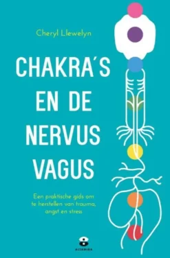 Chakra's en de nervus vagus