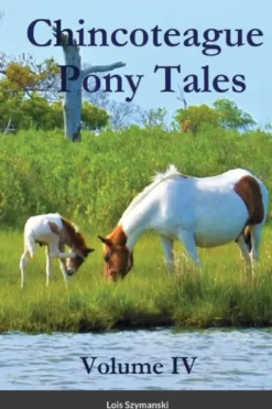 Chincoteague Pony Tales