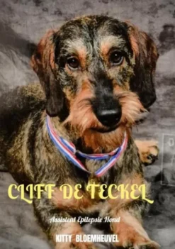 Cliff de Teckel, een hond van goud