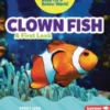Clown Fish