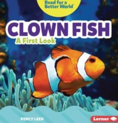 Clown Fish