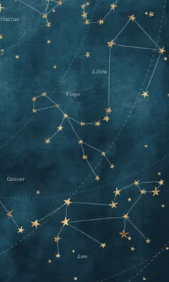 Constellated Journal