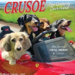 Crusoe the Celebrity Dachshund 2026 Wall Calendar