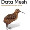 Data Mesh