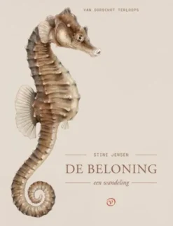 De beloning