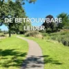 De betrouwbare leider