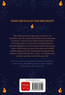 De bevroren vlammenzee