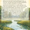 De bouwmeester van de beek