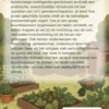 De buurtmoestuin beginnen