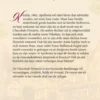 De Chocolade Dynastie 2 - De vrouw van de uitvinder