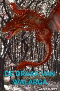 De draak van Walarga