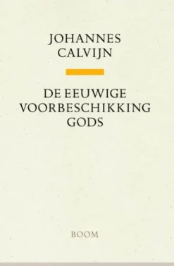 De eeuwige voorbeschikking Gods
