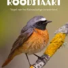 De gekraagde roodstaart
