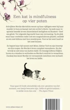 De magnoliakatten