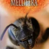 De mythe van Mellifera