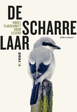 De scharrelaar