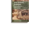 De solitaire wandelaar