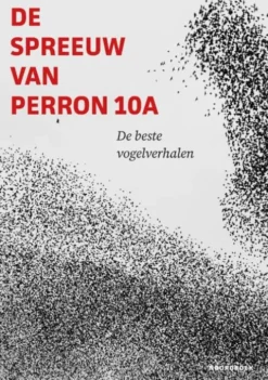 De spreeuw van perron 10A