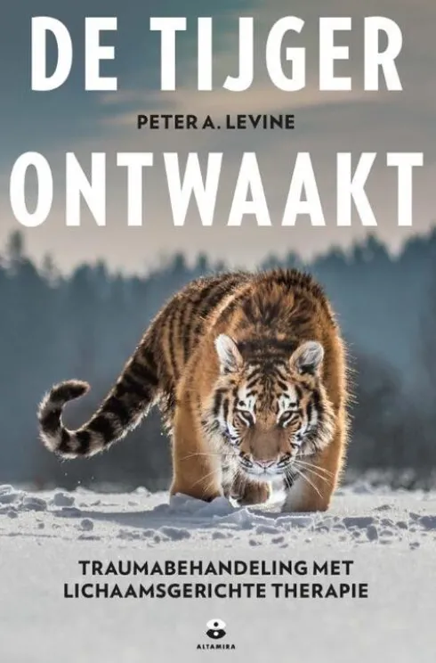De tijger ontwaakt