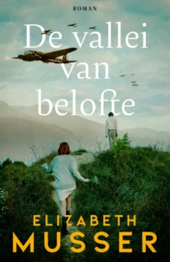 De vallei van belofte