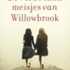 De verdwenen meisjes van Willowbrook