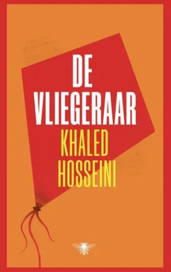 De vliegeraar