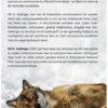 De wijsheid van wolven
