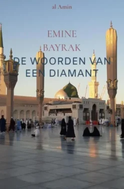 De woorden van een Diamant
