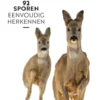 Diersporen