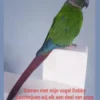 Dobby en ik.